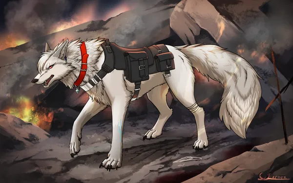 foxInWar.png