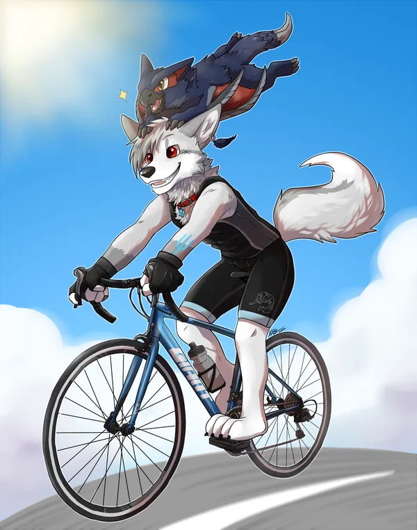 roadbike.png